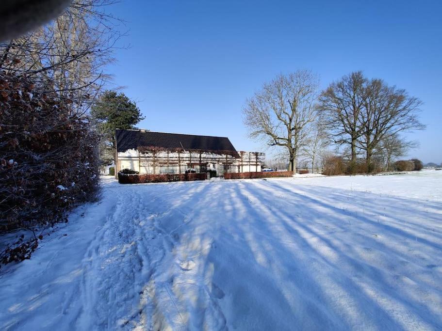The Horst Cottage Holsbeek المظهر الخارجي الصورة