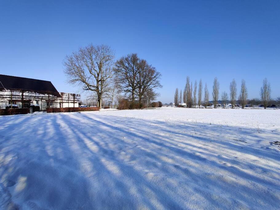 The Horst Cottage Holsbeek المظهر الخارجي الصورة