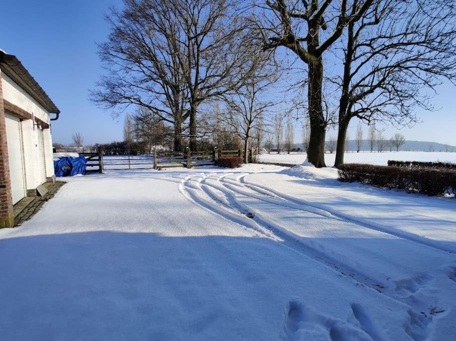 The Horst Cottage Holsbeek المظهر الخارجي الصورة