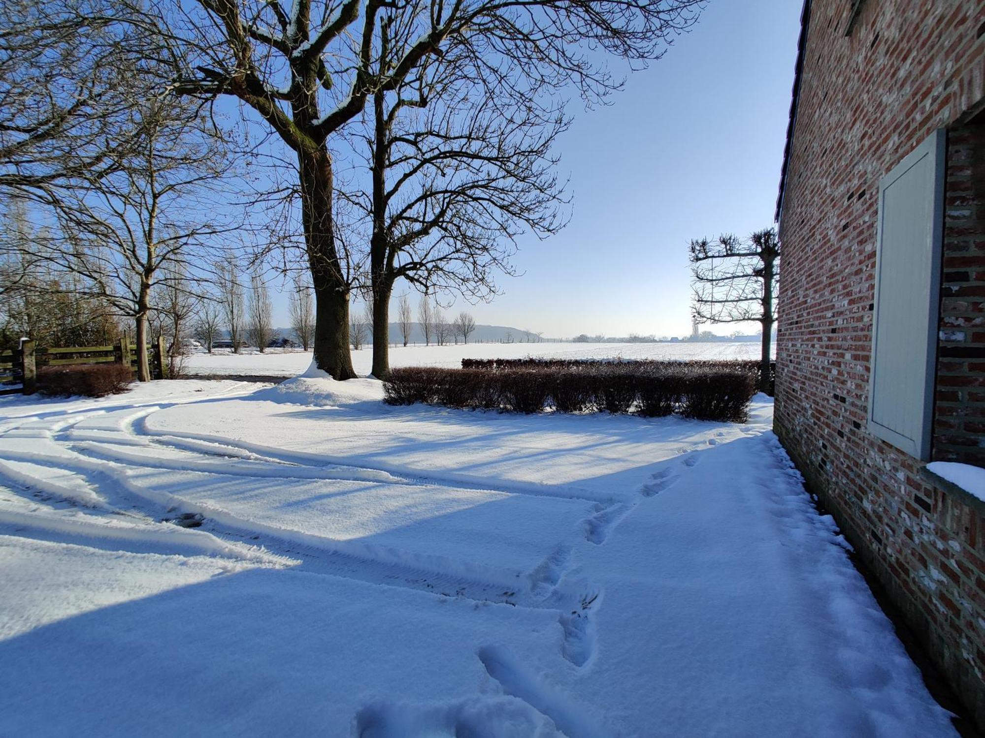 The Horst Cottage Holsbeek المظهر الخارجي الصورة